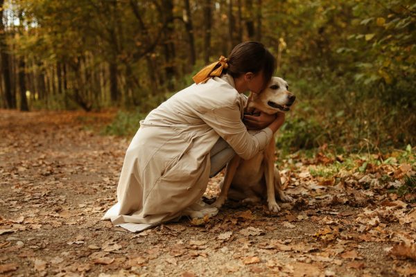 dog in woods